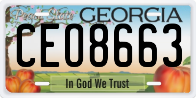 GA license plate CEO8663