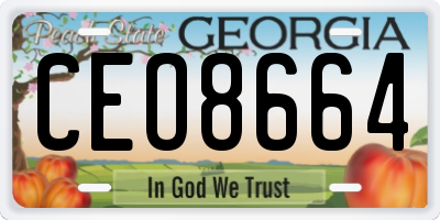GA license plate CEO8664