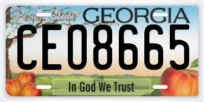 GA license plate CEO8665