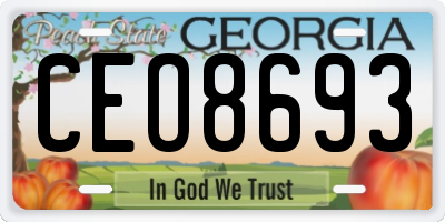 GA license plate CEO8693
