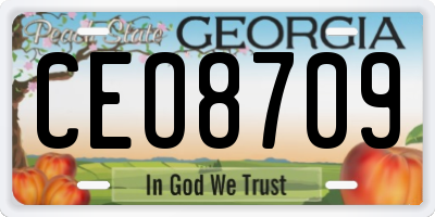 GA license plate CEO8709