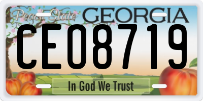 GA license plate CEO8719