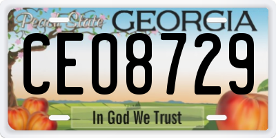 GA license plate CEO8729