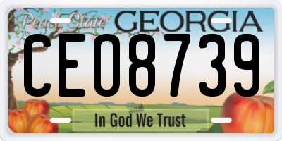 GA license plate CEO8739