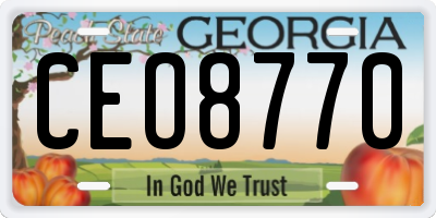 GA license plate CEO8770
