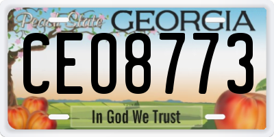 GA license plate CEO8773