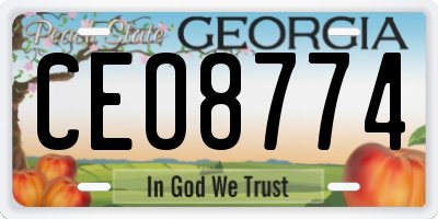 GA license plate CEO8774