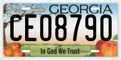 GA license plate CEO8790