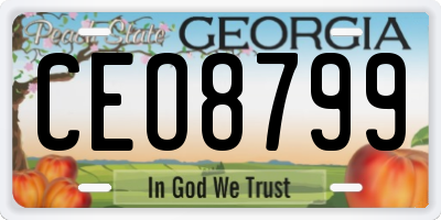 GA license plate CEO8799
