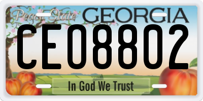 GA license plate CEO8802