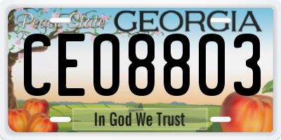 GA license plate CEO8803