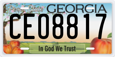 GA license plate CEO8817