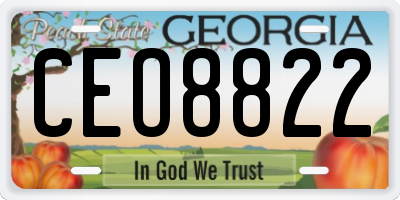 GA license plate CEO8822