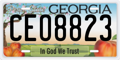 GA license plate CEO8823