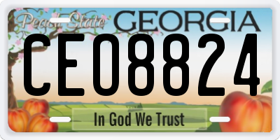 GA license plate CEO8824