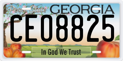 GA license plate CEO8825