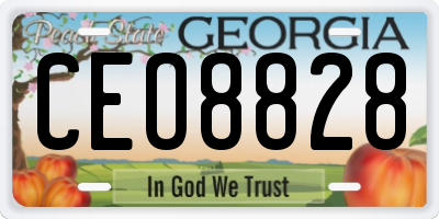 GA license plate CEO8828