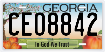 GA license plate CEO8842