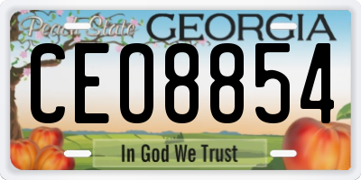GA license plate CEO8854