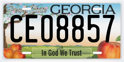 GA license plate CEO8857