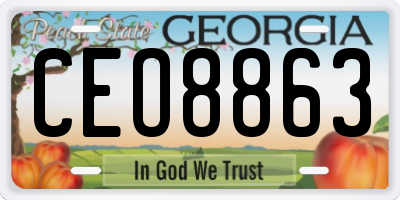 GA license plate CEO8863