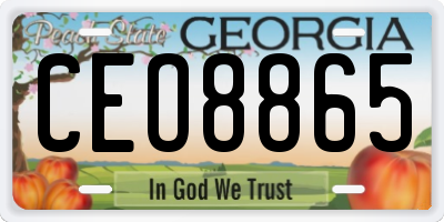 GA license plate CEO8865