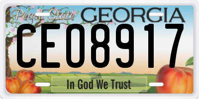 GA license plate CEO8917