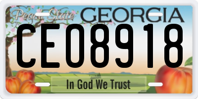 GA license plate CEO8918