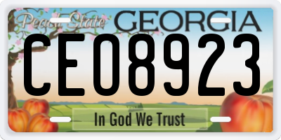 GA license plate CEO8923