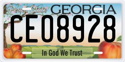 GA license plate CEO8928