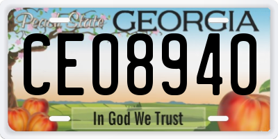 GA license plate CEO8940