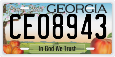 GA license plate CEO8943