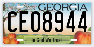 GA license plate CEO8944