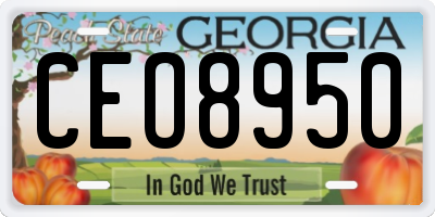 GA license plate CEO8950