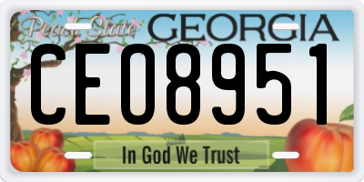 GA license plate CEO8951