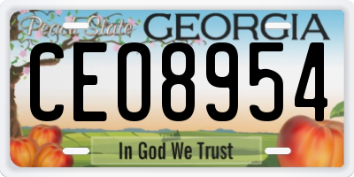 GA license plate CEO8954