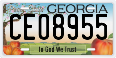 GA license plate CEO8955