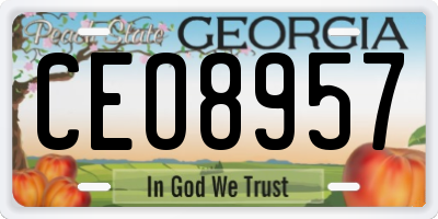 GA license plate CEO8957