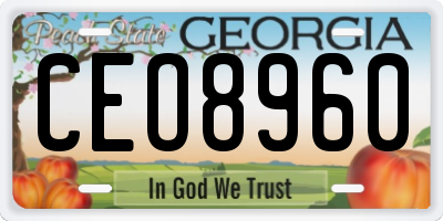 GA license plate CEO8960