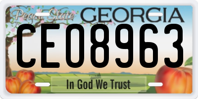 GA license plate CEO8963