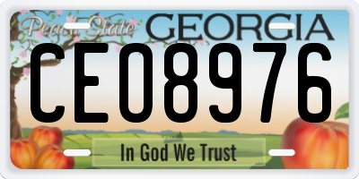 GA license plate CEO8976