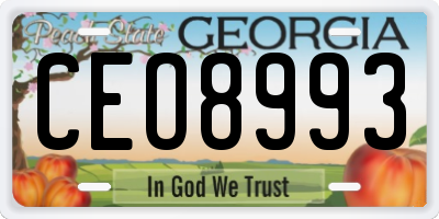 GA license plate CEO8993