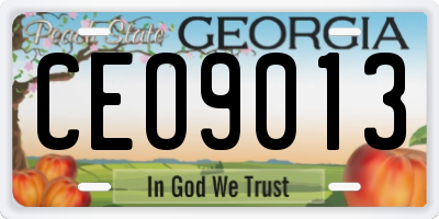 GA license plate CEO9013