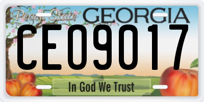 GA license plate CEO9017