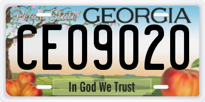 GA license plate CEO9020