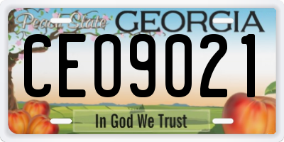 GA license plate CEO9021