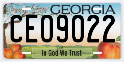 GA license plate CEO9022