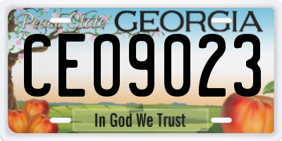 GA license plate CEO9023