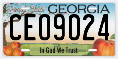 GA license plate CEO9024