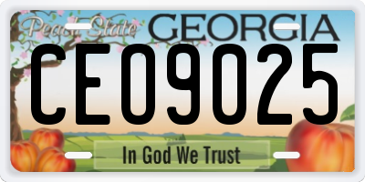 GA license plate CEO9025